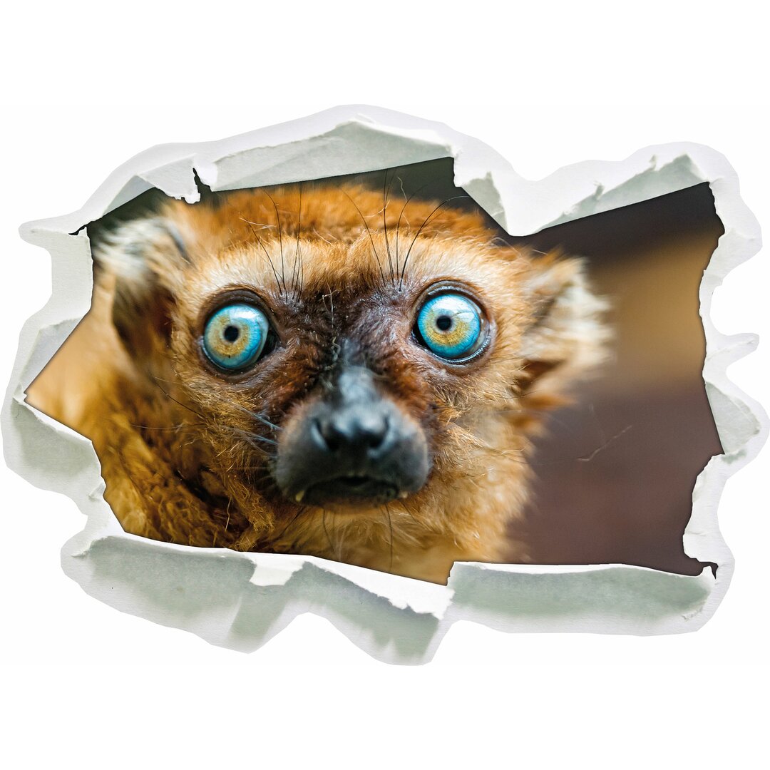 Seltener blauäugiger Tarsier Wandaufkleber