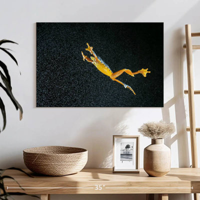 Leaping Leaf Frog
