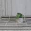 Pot à fleurs en ciment Beatrice