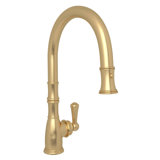 Georgian Era™ Pull Down Single Handle Kitchen Faucet