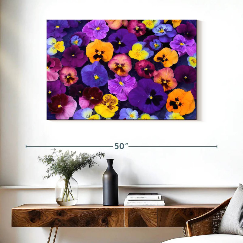 Couleurs Harnek Pansy