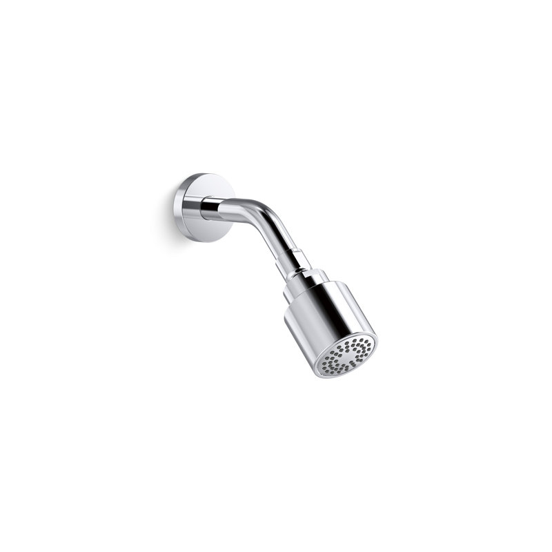 One Showerhead with Arm, Polished Chrome