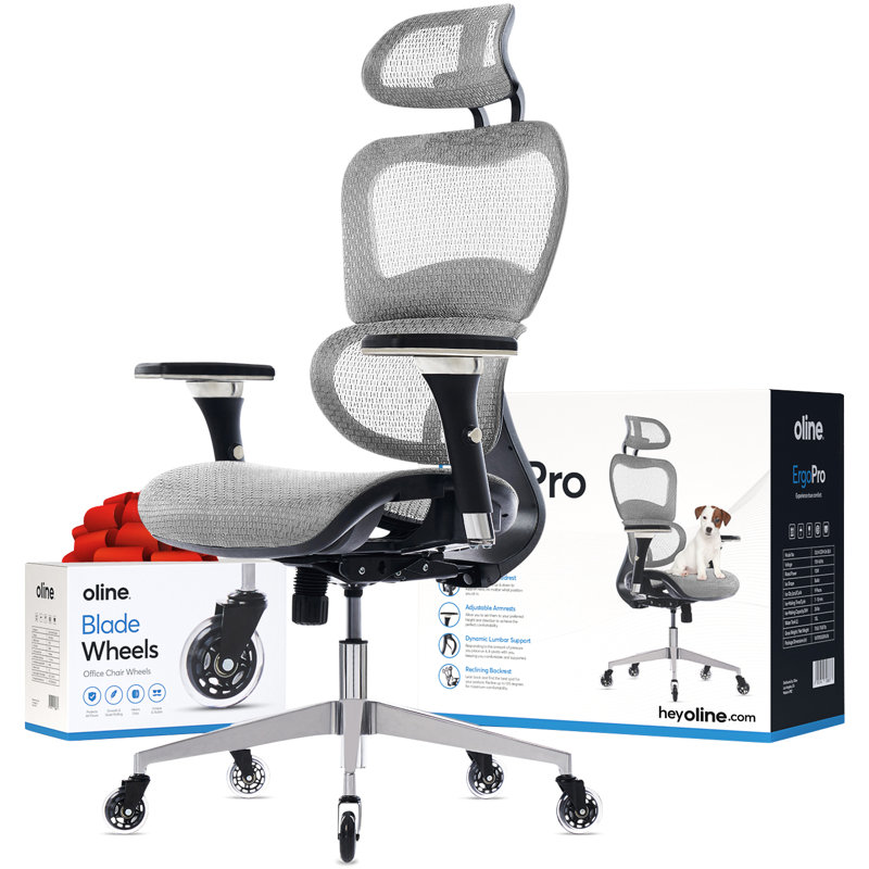 ErgoPro Ergonomic Office Chair, Rolling Desk Mesh Computer Gaming Executive Chair with Blade Wheels, Gray