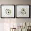 «Old Salt Shell I», ensemble de 2 reproductions d'art encadrées-2048829120-2048829127-2118285762