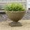 Williamsburg Planter