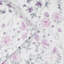 Laura Ashley Wild Meadow Wallpaper Roll-491587112