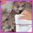 Pink Cherry Blossom Branch Comforter-128700508
