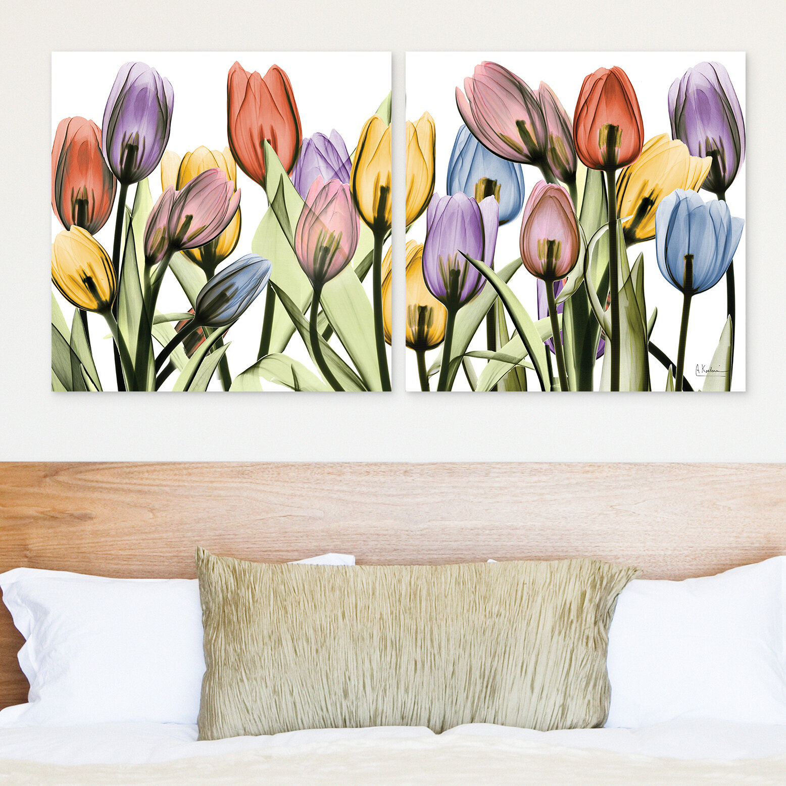 https://assets.wfcdn.com/im/69786417/compr-r85/1268/126802686/tulip-scape-x-ray-i-and-ii-on-glass-2-pieces-by-albert-koetsier-print.jpg