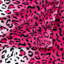 Couverture luxueuse à imprimé zébré-703814835-803266433