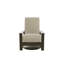 Leeward Polymer Outdoor Lounge Chair-1181835975-1181835964