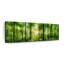 Paysage forestier sur toile-1021207401