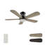 Ventilateur de plafond intelligent Dubois avec télécommande, ensemble d'éclairage inclus, fonctionne avec l'assistant Google et Amazon Alexa, raccourci Siri.-266887737-266887739-266887718