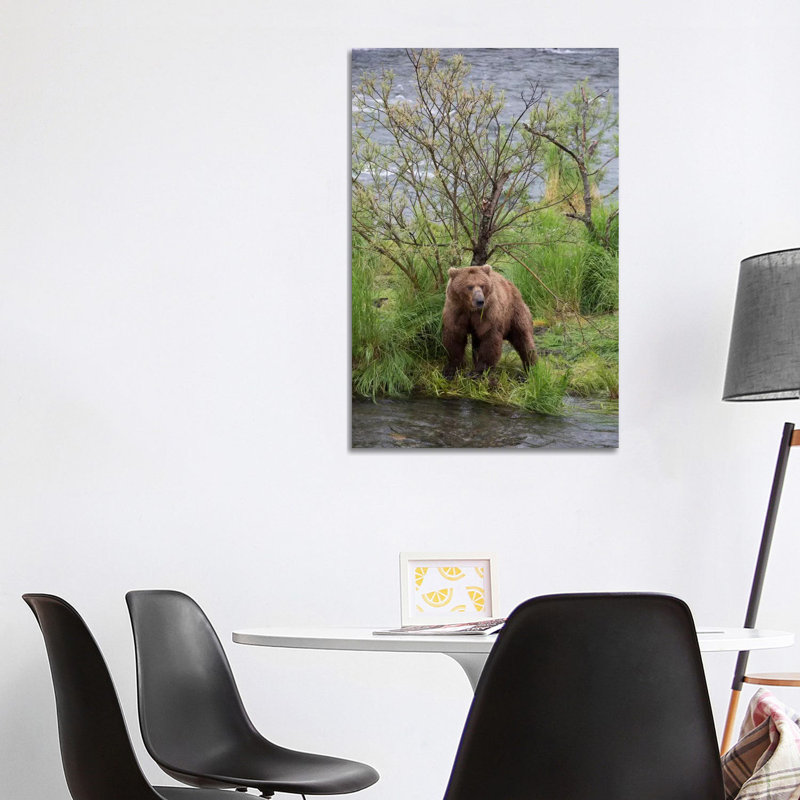 Grizzly Bear Male Scent Marking On Rubbing Tree, Katmai National Park, Alaska by Matthias Breiter - Wrapped Canvas Print