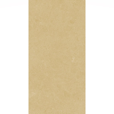 Artistic Freedom 12"X24" Porcelain Stone Look