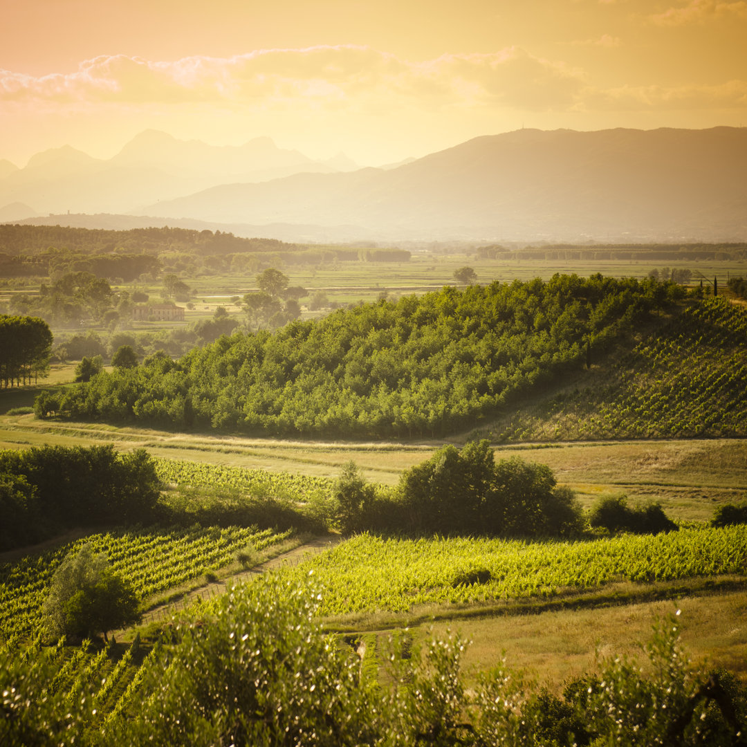 Chianti Region Hills von Franckreporter - Kunstdrucke auf Leinwand