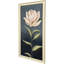 Pink Magnolia Flora II Framed Art