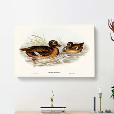 White Eyed Duck by Elizabeth Gould - Wrapped Canvas