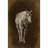 Cheval-1754315378