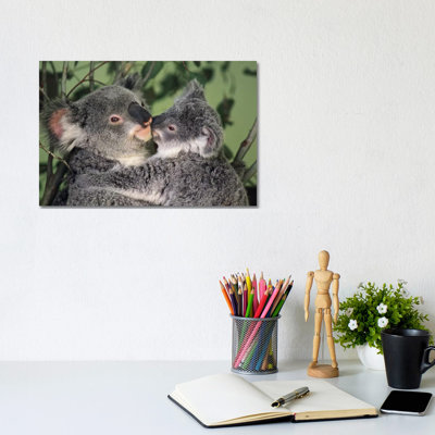 Koala Mother with Joey, Australia 1 Piece Wrapped Canvas Wall Art