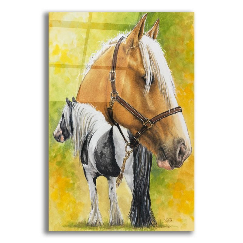 «Irish Cob» par Barbara Keith - impression non encadrée, H 24 po x l 16 po x P 0,2 po