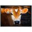 «Animals Vibrant Brown Country Farm Cow Calf», photographie sur toile-93629355-93629356