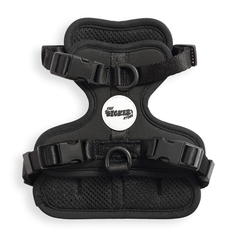 Harnais pour animal de compagnie Arlo, Noir, Extra Small