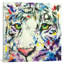 « white tiger », impression sur toile-20922144-73082571-73082580