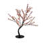 Bonsaïs illuminés et branches-22104822