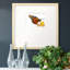 Wings I - Imprimé-87961781-106033017