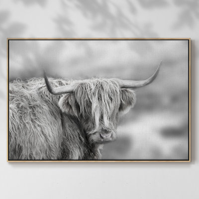 " Roaming Isle Of Skye "