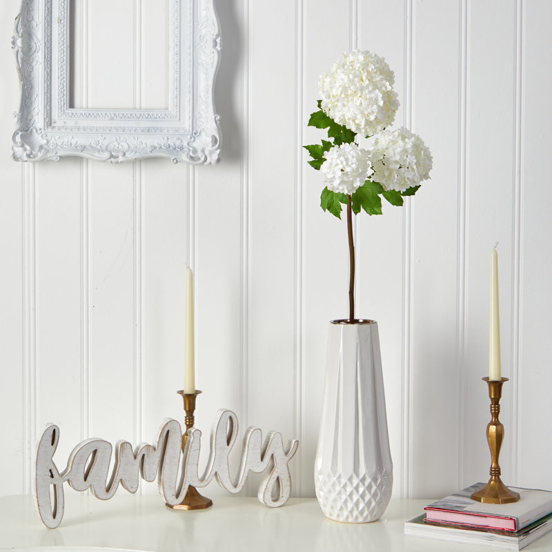 Tige d'hortensia boule de neige, Blanc