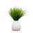 Desktop Artificial Grass