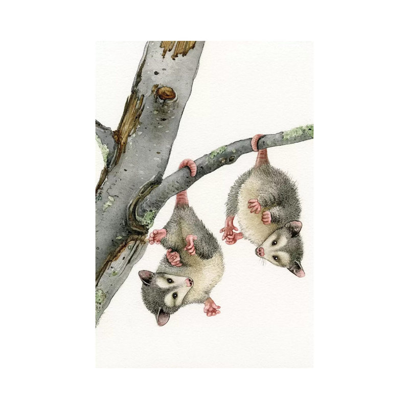 Playful Possums 1 Piece Painting on Canvas, 66.04cm H x 45.72cm W x 1.91cm D, Wrapped Canvas