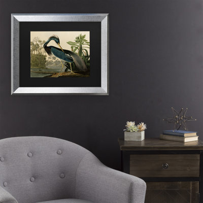 «Johniana Audubon» par John James Audubon