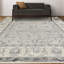 Tapis gris clair et beige noué à la main de haute qualité-63321487