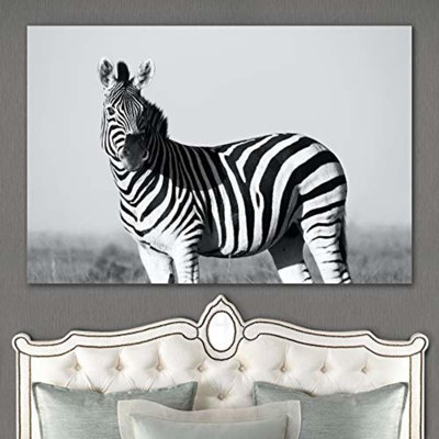 " Zebra In Black And White "