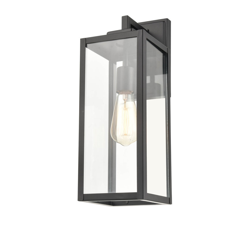 Caitelyn 1 Light 17" Tall Outdoor Wall Sconce, Powder Coated Black