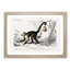 Capuchin Monkeys by Charles d'Orbigny - Picture Frame Painting Print-55513910-55513909