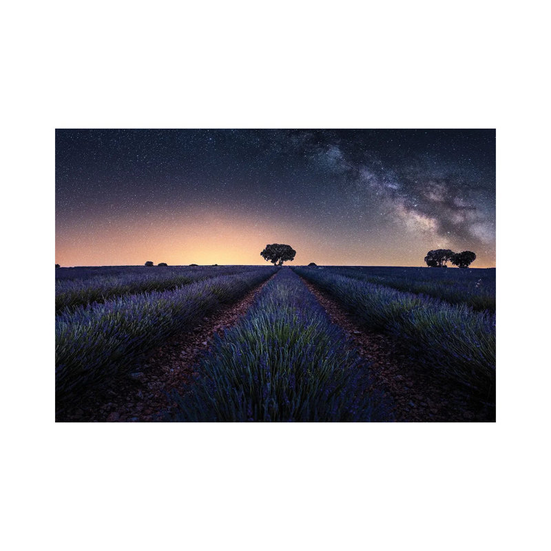 Lavender Fields by Jorge Ruiz Dueso - Wrapped Canvas Print, 66.04 cm H x 45.72 cm W x 3.175 cm D