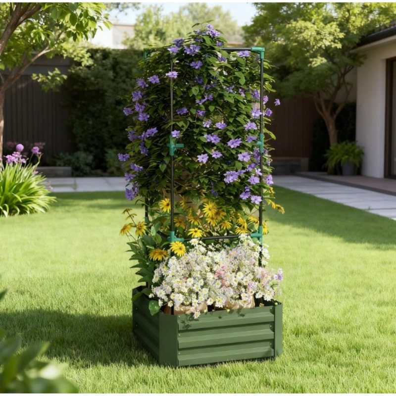 Jardinières en acier peu encombrantes avec cage d'escalade, solution de jardin moderne