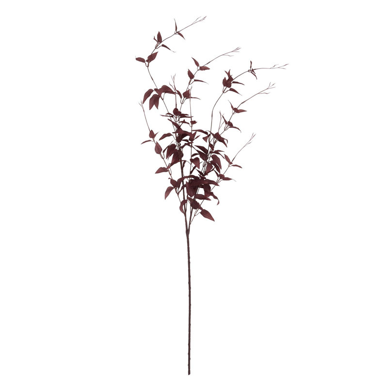 Anastasija Arrangement