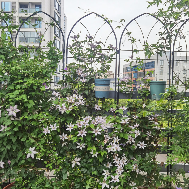 Ensemble de 2 treillis de jardin en métal