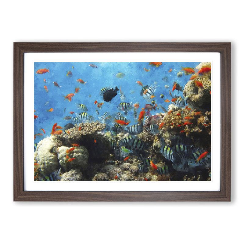 Coral Reef and Fish Vol.2 - Picture Frame Graphic Art, 48cm H x 65cm W x 2cm D, Walnut Framed