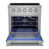 Stainless Steel is out of stock selected