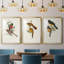 " Elegant Trogons I " 3 - Pieces-69983317-69983318