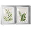 «Botanical Wash I», ensemble de 2 reproductions d'art sur toiles-455244313-455244319-455244318