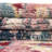 Deliylah Oriental Indoor Rug-1557103388