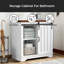 Armoire de salle de bain Mikenzy