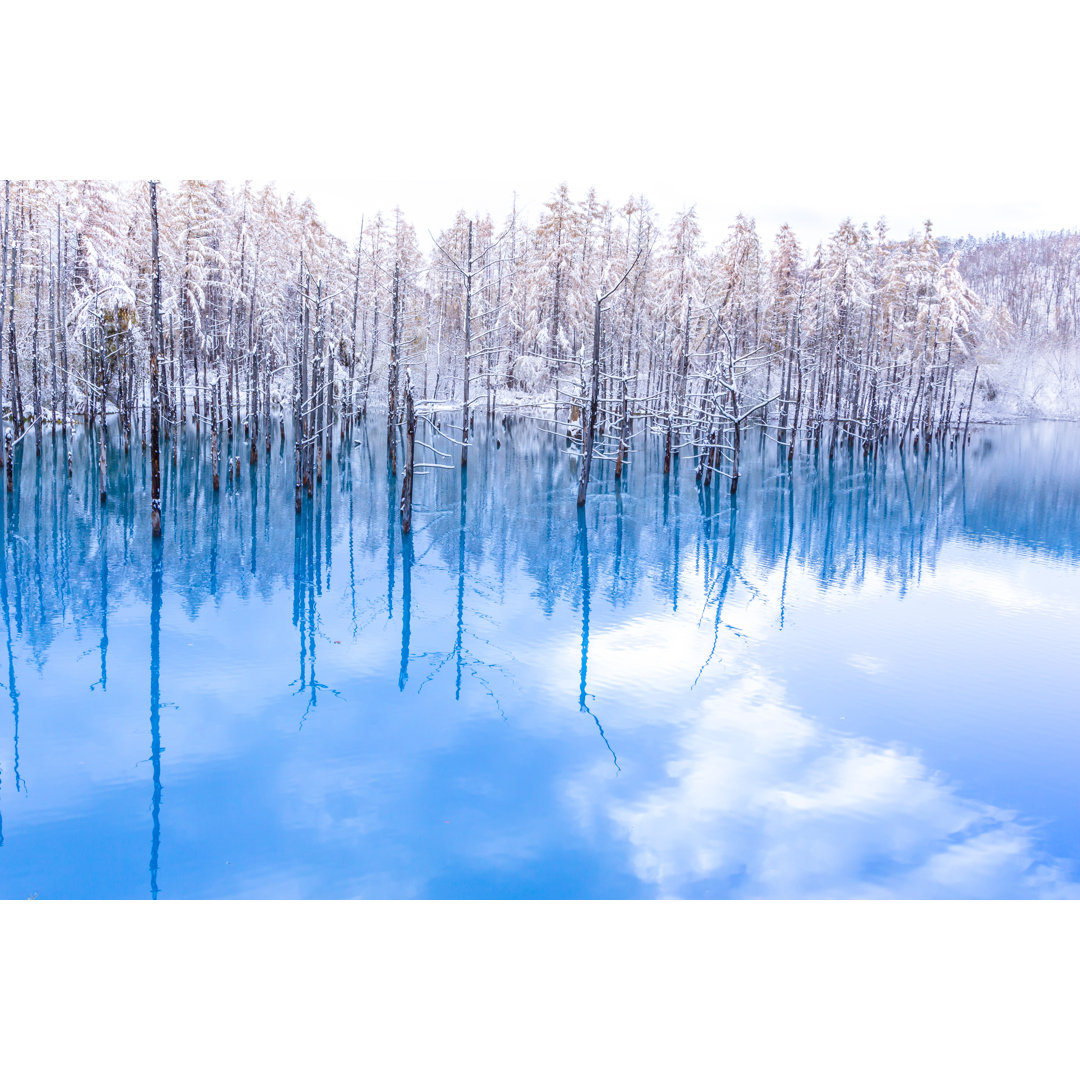 Leinwandbild The Blue Pond in Winter