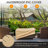 Avaiyah 5 - Person Patio Conversation Set with Cushions-349747125